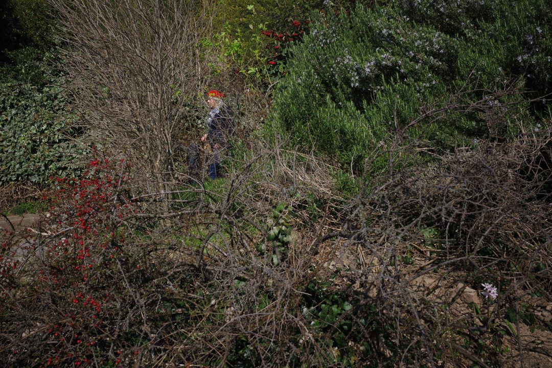 Cache Cache 7